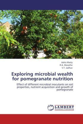 Maity / Marathe / Jadhav |  Exploring microbial wealth for pomegranate nutrition | Buch |  Sack Fachmedien