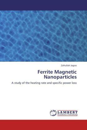 Jagoo |  Ferrite Magnetic Nanoparticles | Buch |  Sack Fachmedien