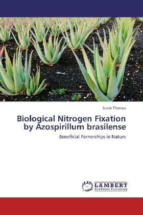 Thomas |  Biological Nitrogen Fixation by Azospirillum brasilense | Buch |  Sack Fachmedien
