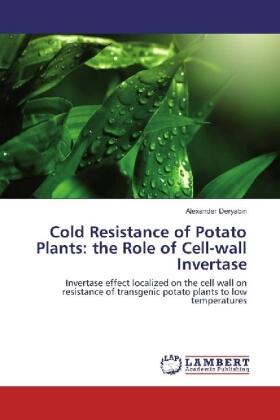Deryabin |  Cold Resistance of Potato Plants: the Role of Cell-wall Invertase | Buch |  Sack Fachmedien