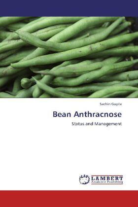 Gupta |  Bean Anthracnose | Buch |  Sack Fachmedien