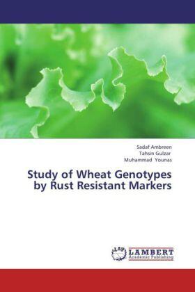 Ambreen / Gulzar / Younas |  Study of Wheat Genotypes by Rust Resistant Markers | Buch |  Sack Fachmedien