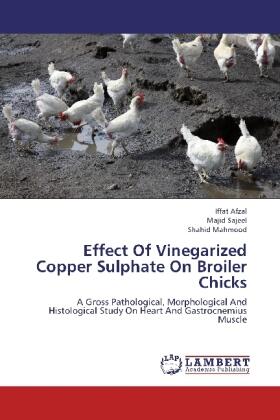 Afzal / Sajeel / Mahmood |  Effect Of Vinegarized Copper Sulphate On Broiler Chicks | Buch |  Sack Fachmedien