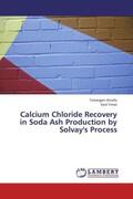 Atnafu / Yimer |  Calcium Chloride Recovery in Soda Ash Production by Solvay's Process | Buch |  Sack Fachmedien