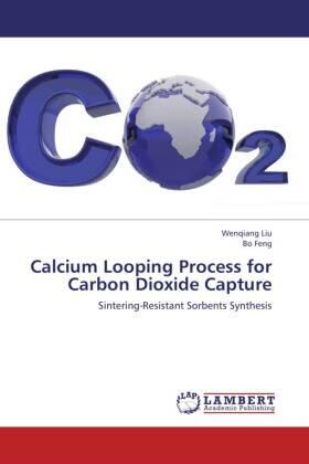 Liu / Feng |  Calcium Looping Process for Carbon Dioxide Capture | Buch |  Sack Fachmedien