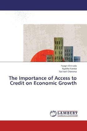 Chinoda / Karasa / Charuma | The Importance of Access to Credit on Economic Growth | Buch | 978-3-659-33208-1 | sack.de
