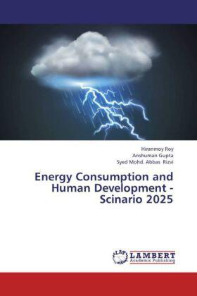 Roy / Gupta / Rizvi |  Energy Consumption and Human Development - Scinario 2025 | Buch |  Sack Fachmedien
