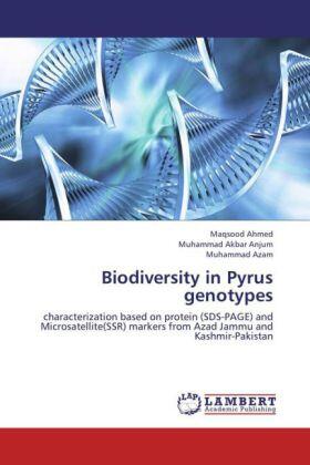 Ahmed / Anjum / Azam |  Biodiversity in Pyrus genotypes | Buch |  Sack Fachmedien