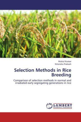 Kumar / Prakash |  Selection Methods in Rice Breeding | Buch |  Sack Fachmedien