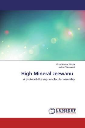 Gupta / Chaturvedi |  High Mineral Jeewanu | Buch |  Sack Fachmedien