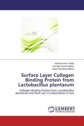 Yadav / Kumar Batish / Saklani |  Surface Layer Collagen Binding Protein from Lactobacillus plantarum | Buch |  Sack Fachmedien