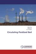 Ray / Sen / Pandey |  Circulating Fluidized Bed | Buch |  Sack Fachmedien