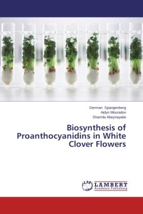 Spangenberg / Mouradov / Abeynayake |  Biosynthesis of Proanthocyanidins in White Clover Flowers | Buch |  Sack Fachmedien