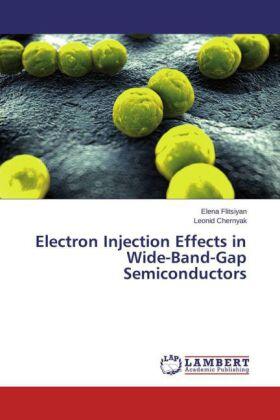 Flitsiyan / Chernyak |  Electron Injection Effects in Wide-Band-Gap Semiconductors | Buch |  Sack Fachmedien