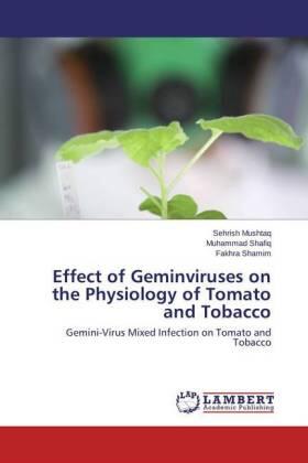 Mushtaq / Shafiq / Shamim |  Effect of Geminviruses on the Physiology of Tomato and Tobacco | Buch |  Sack Fachmedien