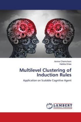 Chemchem / Drias |  Multilevel Clustering of Induction Rules | Buch |  Sack Fachmedien