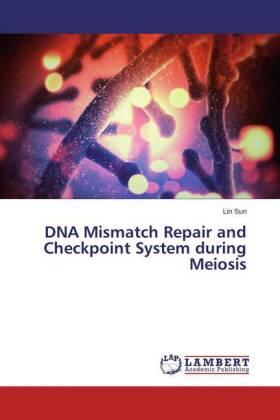Sun |  DNA Mismatch Repair and Checkpoint System during Meiosis | Buch |  Sack Fachmedien