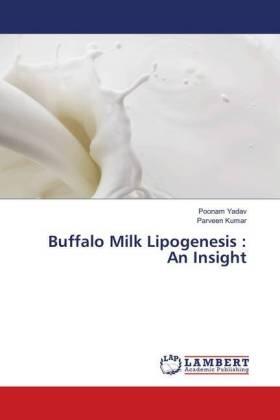 Yadav / Kumar |  Buffalo Milk Lipogenesis : An Insight | Buch |  Sack Fachmedien