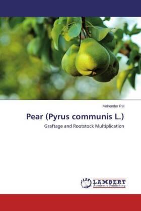 Pal |  Pear (Pyrus communis L.) | Buch |  Sack Fachmedien