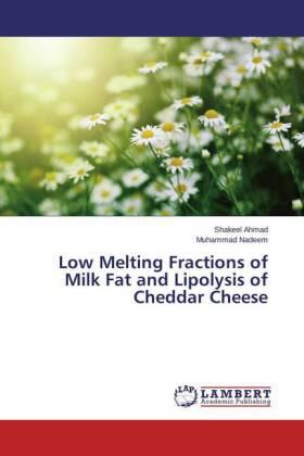 Ahmad / Nadeem |  Low Melting Fractions of Milk Fat and Lipolysis of Cheddar Cheese | Buch |  Sack Fachmedien
