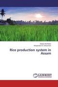 Borthakur / Bhowmick |  Rice production system in Assam | Buch |  Sack Fachmedien