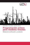 Molina / Cabrera / Ramos |  Programación entera para modelos lineales | Buch |  Sack Fachmedien