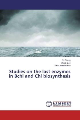Cheng / Sun / Nascimento |  Studies on the last enzymes in Bchl and Chl biosynthesis | Buch |  Sack Fachmedien