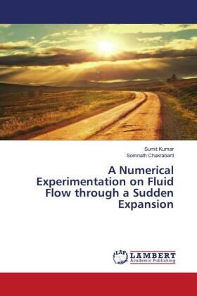 Kumar / Chakrabarti |  A Numerical Experimentation on Fluid Flow through a Sudden Expansion | Buch |  Sack Fachmedien