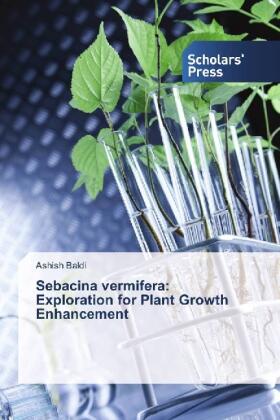 Baldi |  Sebacina vermifera: Exploration for Plant Growth Enhancement | Buch |  Sack Fachmedien
