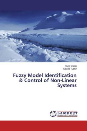 Gupta / Tushir |  Fuzzy Model Identification & Control of Non-Linear Systems | Buch |  Sack Fachmedien