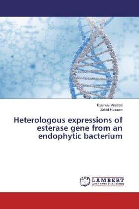 Masood / Hussain |  Heterologous expressions of esterase gene from an endophytic bacterium | Buch |  Sack Fachmedien