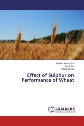 Rai / Kumar |  Effect of Sulphur on Performance of Wheat | Buch |  Sack Fachmedien