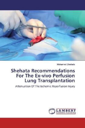 Shehata |  Shehata Recommendations For The Ex-vivo Perfusion Lung Transplantation | Buch |  Sack Fachmedien