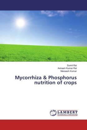 Rai / Kumar Rai / Kumar |  Mycorrhiza & Phosphorus nutrition of crops | Buch |  Sack Fachmedien