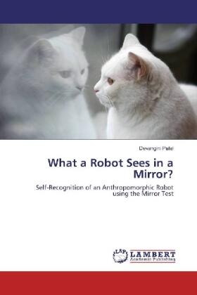 Patel |  What a Robot Sees in a Mirror? | Buch |  Sack Fachmedien
