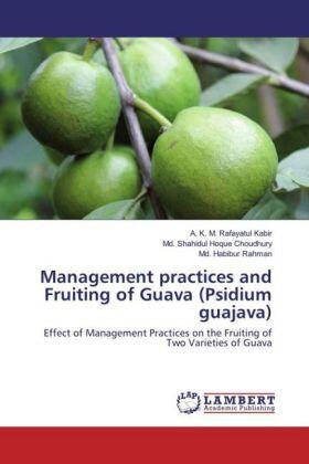 Kabir / Choudhury / Rahman |  Management practices and Fruiting of Guava (Psidium guajava) | Buch |  Sack Fachmedien