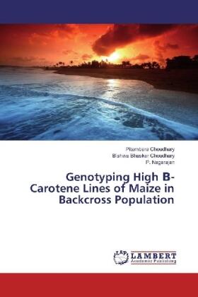 Choudhary / Nagarajan |  Genotyping High ¿- Carotene Lines of Maize in Backcross Population | Buch |  Sack Fachmedien
