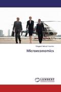 Fleischer |  Microeconomics | Buch |  Sack Fachmedien