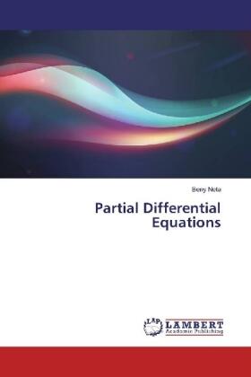 Neta |  Partial Differential Equations | Buch |  Sack Fachmedien