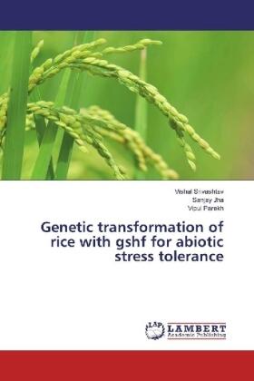Srivashtav / Jha / Parekh |  Genetic transformation of rice with gshf for abiotic stress tolerance | Buch |  Sack Fachmedien
