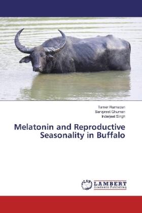 Ramadan / Ghuman / Singh |  Melatonin and Reproductive Seasonality in Buffalo | Buch |  Sack Fachmedien