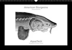 Vecsei |  American Sturgeons (Acipenseridae): Fish as Art (Wall Calendar perpetual DIN A3 Landscape) | Sonstiges |  Sack Fachmedien