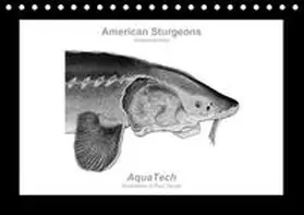 Vecsei |  American Sturgeons (Acipenseridae): Fish as Art (Table Calendar perpetual DIN A5 Landscape) | Sonstiges |  Sack Fachmedien