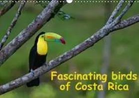  Fascinating birds of Costa Rica / UK-Version (Wall Calendar perpetual DIN A3 Landscape) | Sonstiges |  Sack Fachmedien