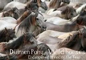  Dülmen Pony - Wild horses / UK-Version | Sonstiges |  Sack Fachmedien