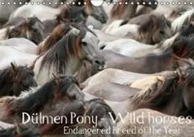  Dülmen Pony - Wild horses / UK-Version | Sonstiges |  Sack Fachmedien
