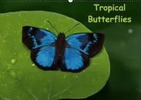 Dummermuth |  Tropical Butterflies / UK-version (Wall Calendar perpetual DIN A2 Landscape) | Sonstiges |  Sack Fachmedien