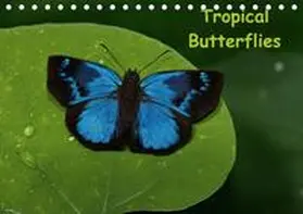 Dummermuth |  Tropical Butterflies / UK-version (Table Calendar perpetual DIN A5 Landscape) | Sonstiges |  Sack Fachmedien