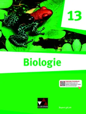 Schmidt / Blaschke / Bug |  Biologie Bayern – Sek II / Biologie Bayern 13 | Buch |  Sack Fachmedien