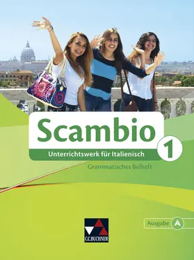 Maurer / Bernhofer / Stenzenberger |  Scambio A. Grammatisches Beiheft 1 | Buch |  Sack Fachmedien